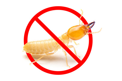 no to termites